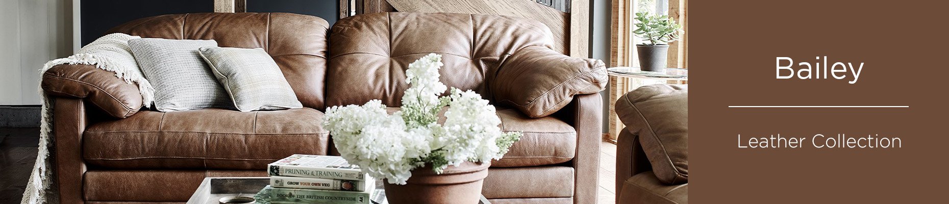 Bailey sofa collection at Forrest Furnishing